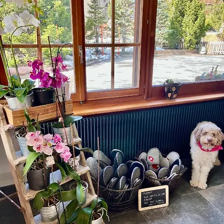 Colorado Riders Pensión 4*