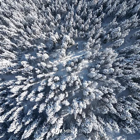 Colorado Riders Pensión 4*