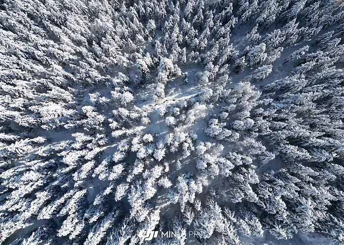 Colorado Riders Pensión 4*