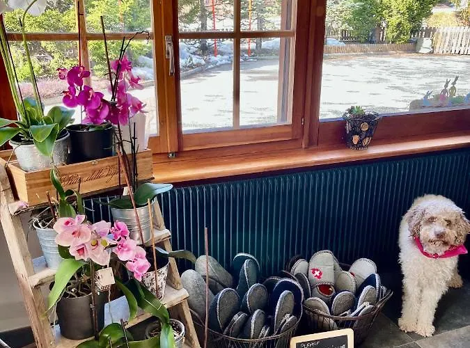 Colorado Riders Maison d'hôtes 4*